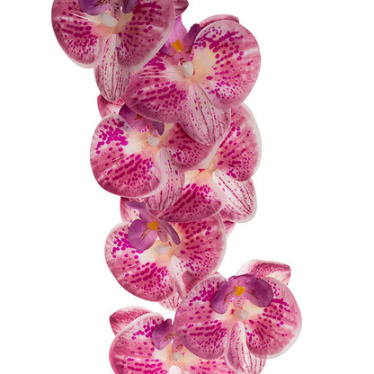 Real Touch Phalaenopsis Orchid Stem x7 Head Purple (85cmH)