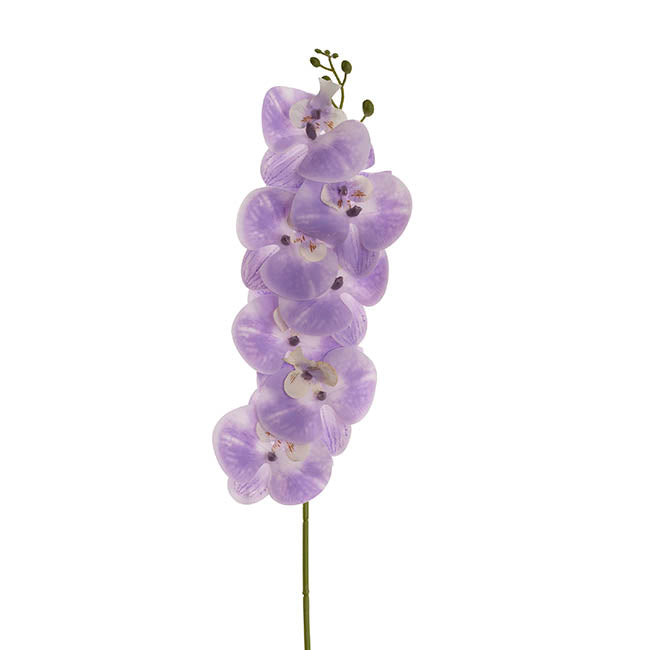 Real Touch Phalaenopsis Orchid Stem x7 Violet (85cmH)