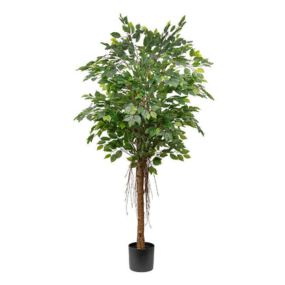Real Touch Ficus Tree Green (180cmH)