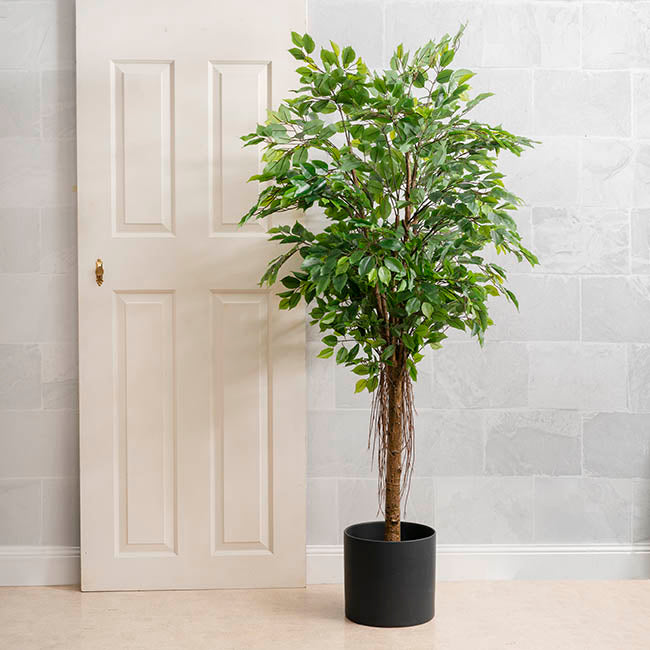 Real Touch Ficus Tree Green (180cmH)