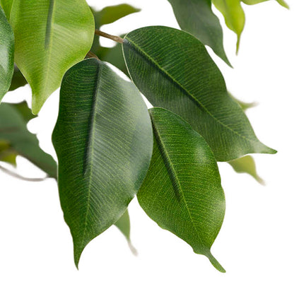 Real Touch Ficus Tree Green (180cmH)