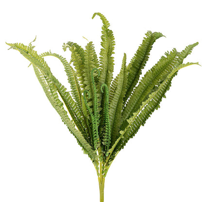 Boston Fern Bush Spray Green (60x60x55cmH)