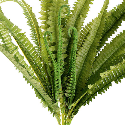 Boston Fern Bush Spray Green (60x60x55cmH)