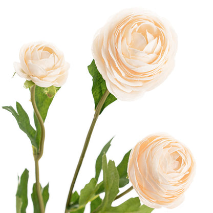 Petite Ranunculus Spray Peach (42cmH)