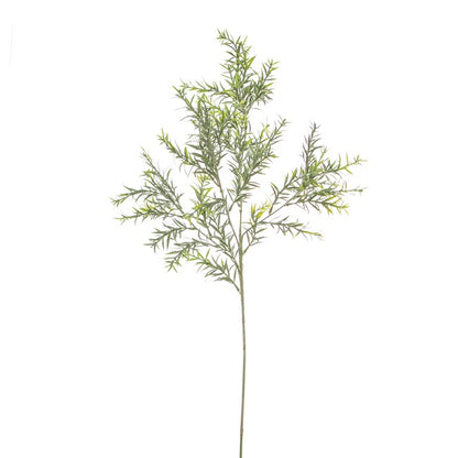 Rosemary Spray Green (78cmH)