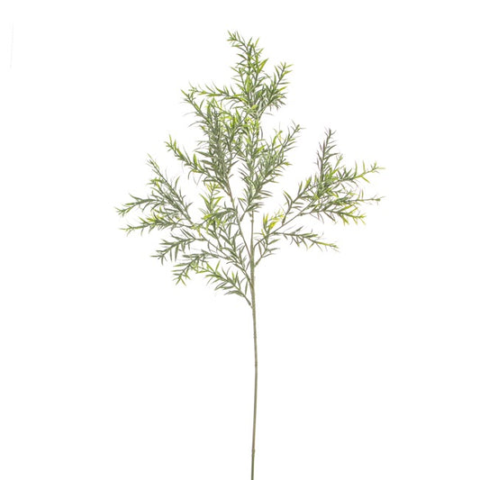 Rosemary Spray Green (78cmH)