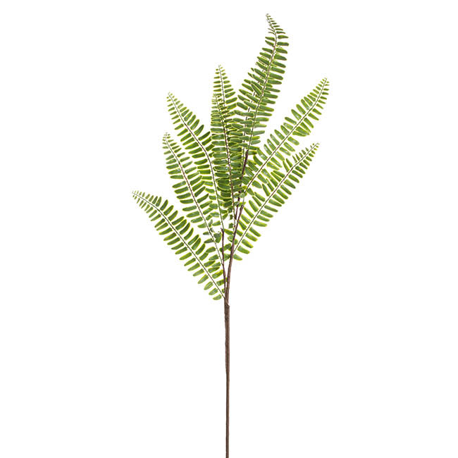 Sword Fern Spray Green (71cmH)