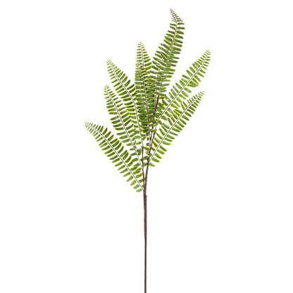 Sword Fern Spray Green (71cmH)