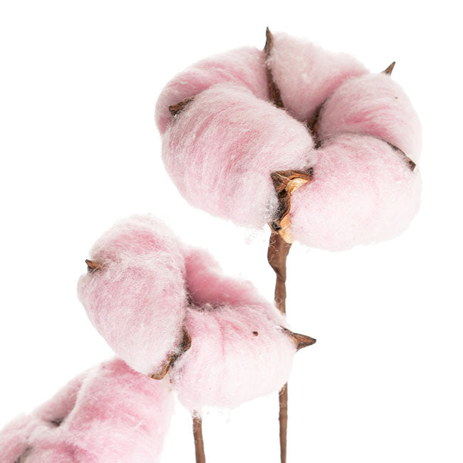 Cotton Branch 6 Heads Pale Pink (Head Size 5cm x 85cmH)