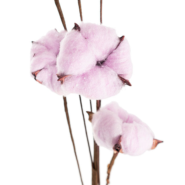 Cotton Branch 6 Heads Soft Purple (Head Size 5cm x 85cmH)