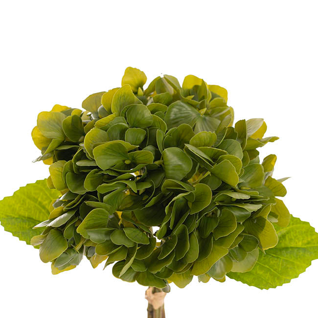Hydrangea Bunch 3 Stem Real Touch Green (22cmDx35cmH)