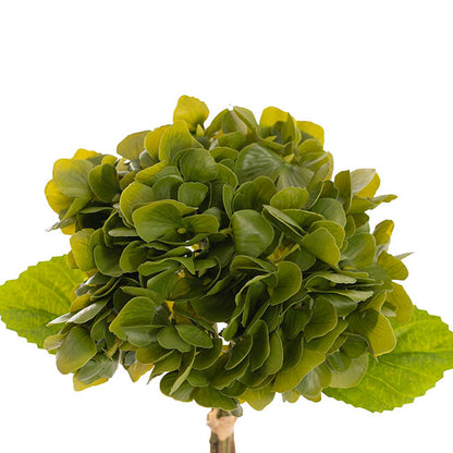 Hydrangea Bunch 3 Stem Real Touch Green (22cmDx35cmH)