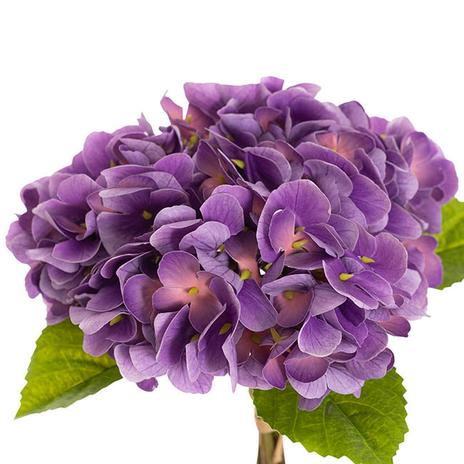 Hydrangea Bunch 3 Stem Real Touch Ombre Purple (22cmDx35cmH)