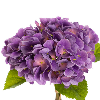 Hydrangea Bunch 3 Stem Real Touch Ombre Purple (22cmDx35cmH)