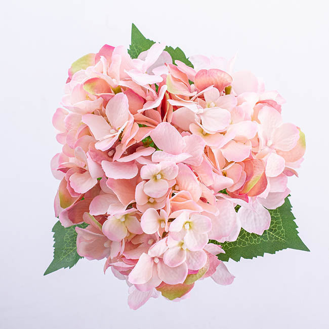 Hydrangea Victoria Bouquet Pink (32cmH)