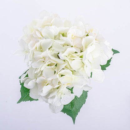 Hydrangea Victoria Bouquet White (32cmH)