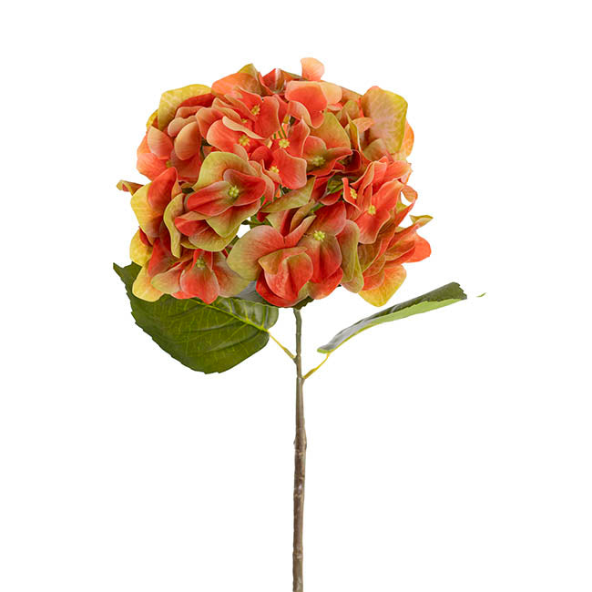 Hydrangea Stem 3D Petal Real Touch Coral (22cmDx66cmH)