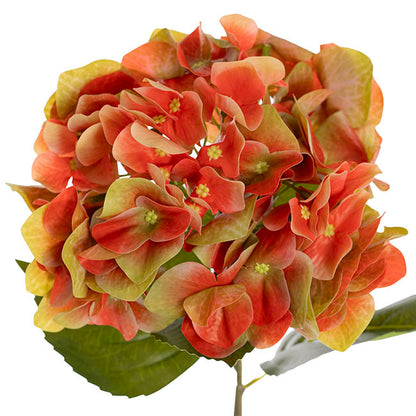 Hydrangea Stem 3D Petal Real Touch Coral (22cmDx66cmH)