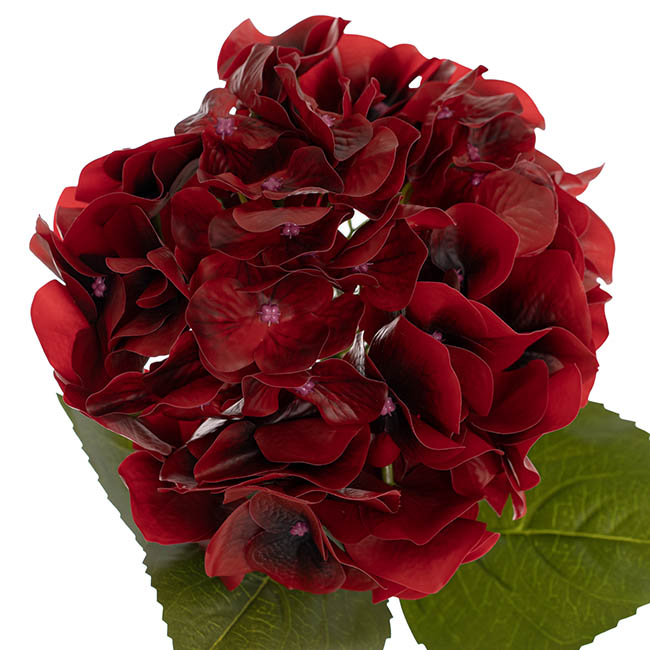 Hydrangea Stem 3D Petal Real Touch Dark Red (22cmDx66cmH)