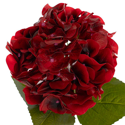 Hydrangea Stem 3D Petal Real Touch Dark Red (22cmDx66cmH)