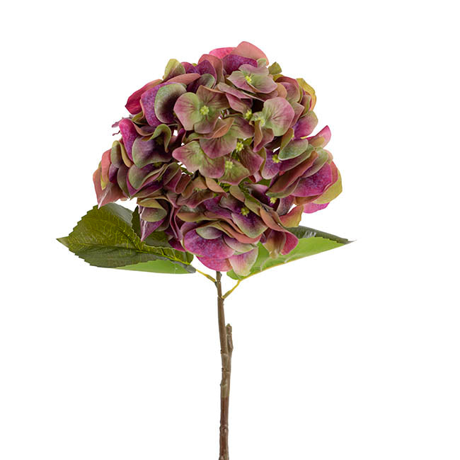 Hydrangea Stem 3D Petal Real Touch Green Purple (22Dx66cmH)