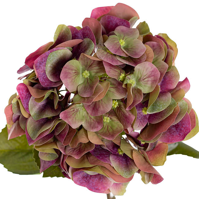Hydrangea Stem 3D Petal Real Touch Green Purple (22Dx66cmH)