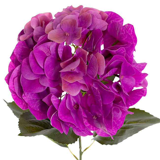 Hydrangea Stem 3D Petal Real Touch Magenta (22cmDx66cmH)