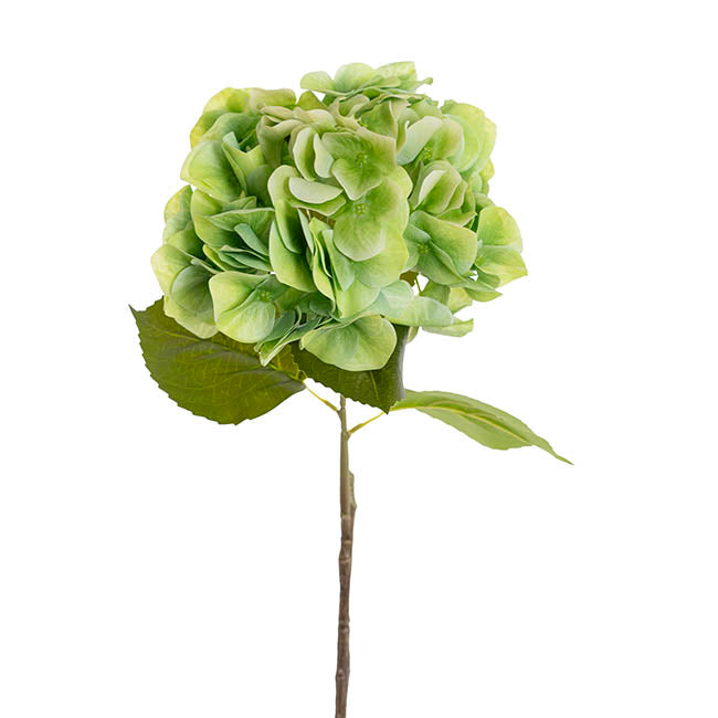 Hydrangea Stem 3D Petal Real Touch Soft Green (22cmDx66cmH)
