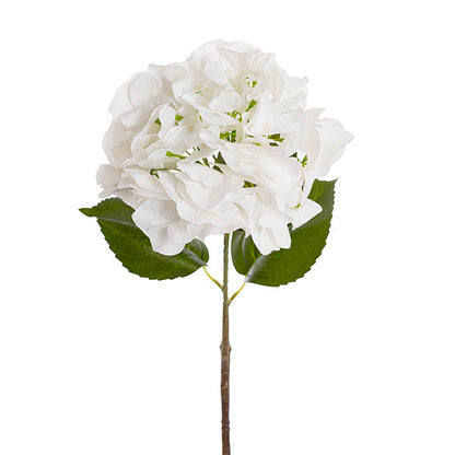 Hydrangea Stem 3D Petal Real Touch White (22cmDx66cmH)