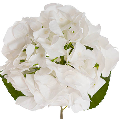 Hydrangea Stem 3D Petal Real Touch White (22cmDx66cmH)