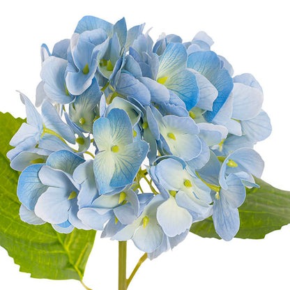 Mophead Hydrangea Stem Real Touch Yellow Blue (16cmDx53cmH)