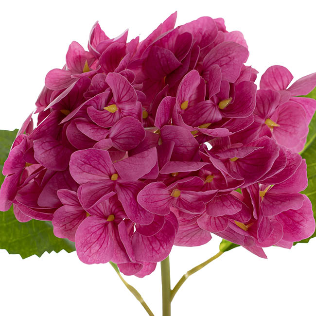 Mophead Hydrangea Stem Real Touch Fuchsia (16cmDx53cmH)