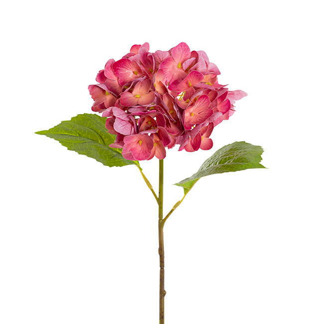 Mophead Hydrangea Stem Ombre Hot Pink (16cmDx53cmH)