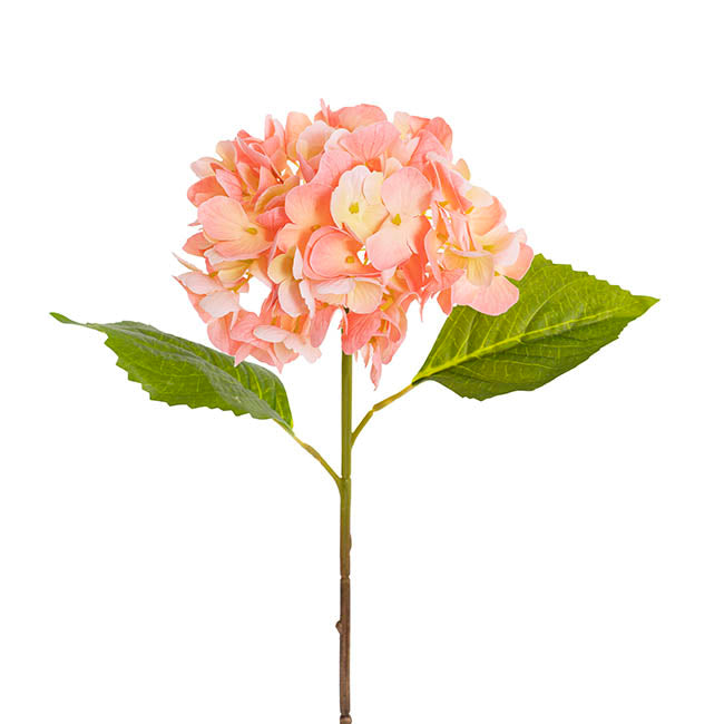 Mophead Hydrangea Stem Real Touch Yellow Pink (16cmDx53cmH)