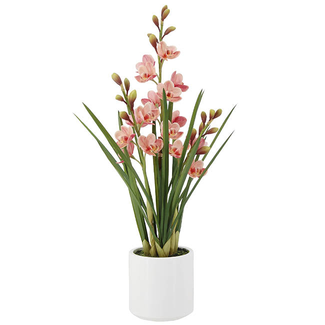 Cymbidium Orchid Real Touch 3 Stem Potted Pink (81cmH)