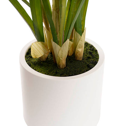 Cymbidium Orchid Real Touch 3 Stem Potted Pink (81cmH)