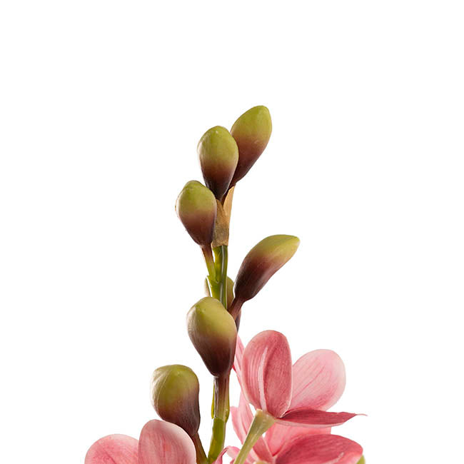Cymbidium Orchid Real Touch 3 Stem Potted Pink (81cmH)
