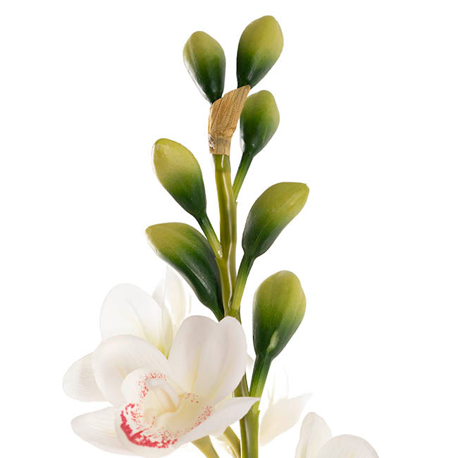 Cymbidium Orchid Real Touch 3Stem Potted Lemon White (81cmH)