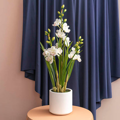 Cymbidium Orchid Real Touch 3Stem Potted Lemon White (81cmH)