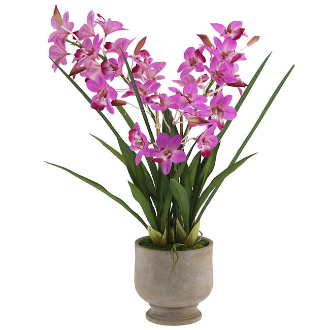 Dendrobium Orchid Real Touch 3 Stem Potted Magenta (61cmH)