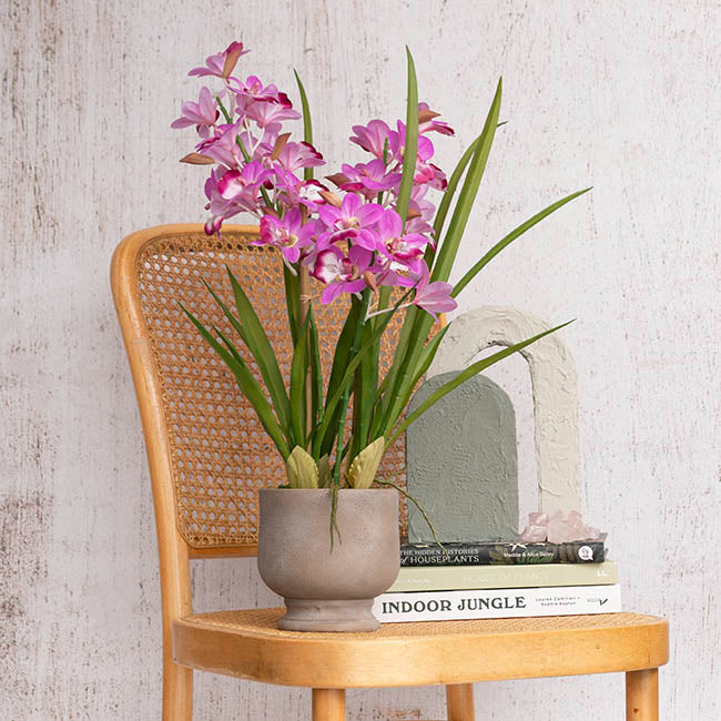 Dendrobium Orchid Real Touch 3 Stem Potted Magenta (61cmH)