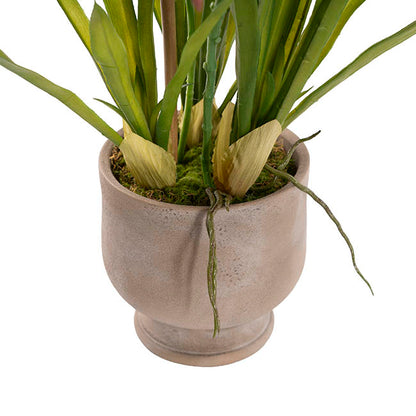 Dendrobium Orchid Real Touch 3 Stem Potted Magenta (61cmH)