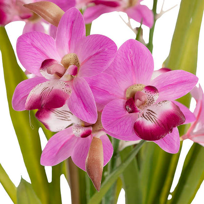 Dendrobium Orchid Real Touch 3 Stem Potted Magenta (61cmH)