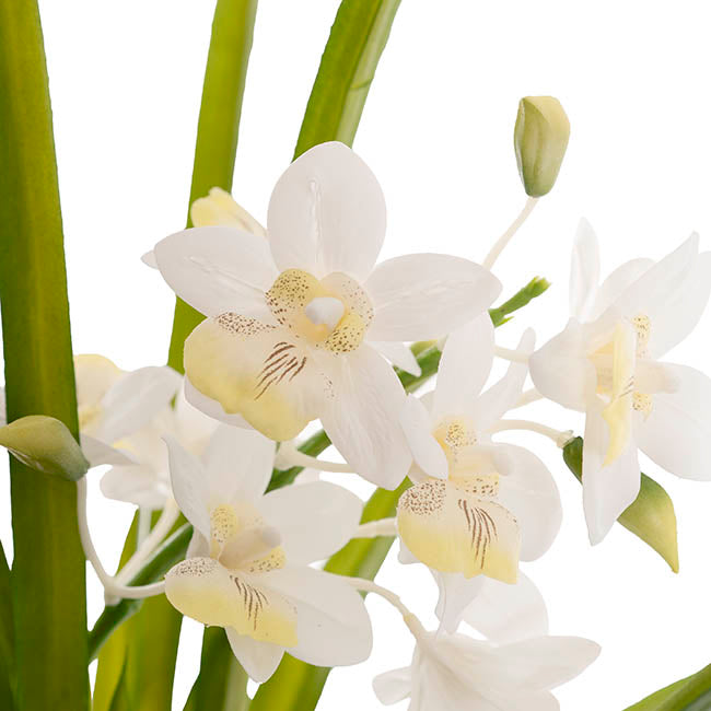 Dendrobium Orchid Real Touch 3 Stem Cement Pot White (61cmH)