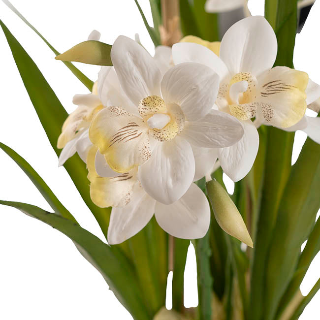 Dendrobium Orchid Real Touch 3 Stem Cement Pot White (61cmH)