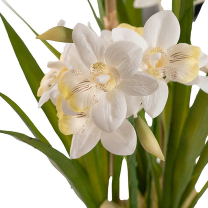 Dendrobium Orchid Real Touch 3 Stem Cement Pot White (61cmH)