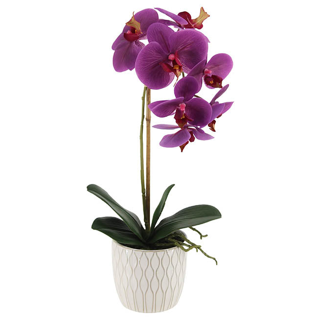 Phalaenopsis Orchid Real Touch Single Potted Purple (46cmH)