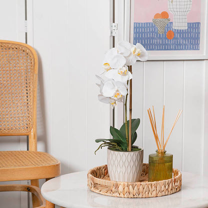 Phalaenopsis Orchid Real Touch Single Potted White (46cmH)