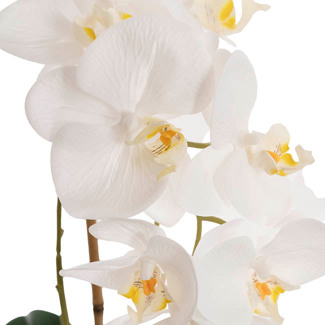 Phalaenopsis Orchid Real Touch Single Potted White (46cmH)