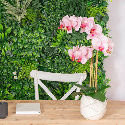 Phalaenopsis Orchid Real Touch 3Stem Potted Hot Pink (60cmH)